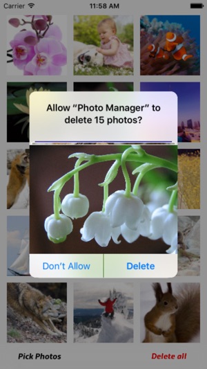 Photo Manager - Fast and Easy(圖4)-速報App