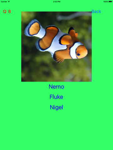 Screenshot #5 pour Who Is This ? for Nemo & Dory
