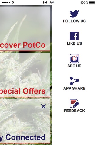 PotCo screenshot 4