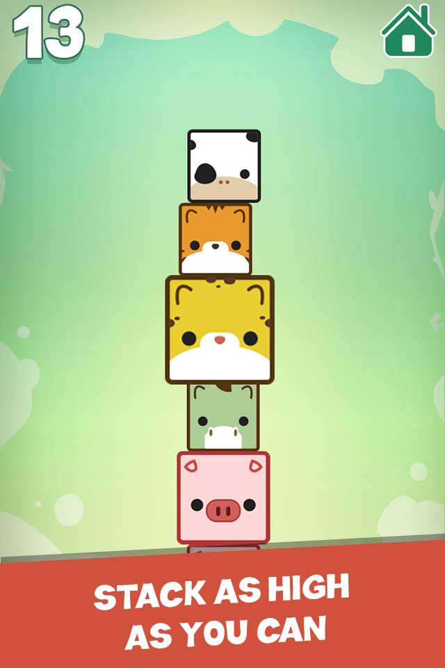 Pet Cube Tower Stack