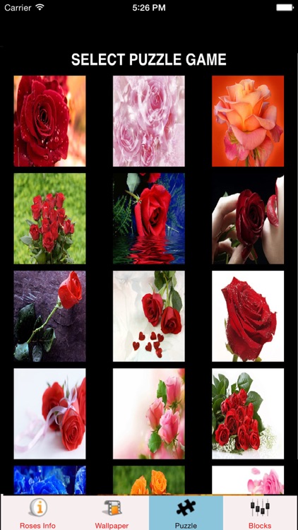 Roses Wallpaper HD Roses Information And Games by Janice Ong