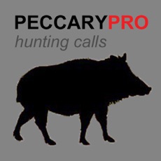 Activities of REAL Peccary Calls and Peccary Sounds for Hunting -- (ad free) BLUETOOTH COMPATIBLE