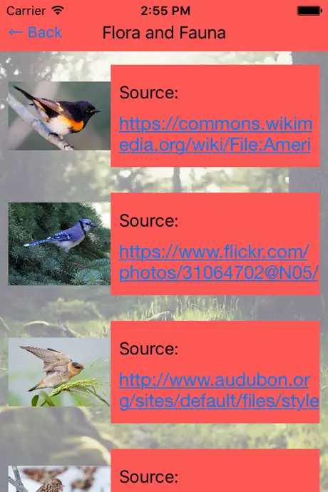 Flora and Fauna