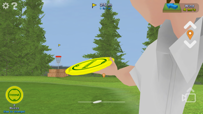 Disc Golf Game Screenshot