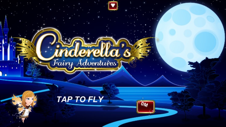 Cinderella's Fairy Adventures