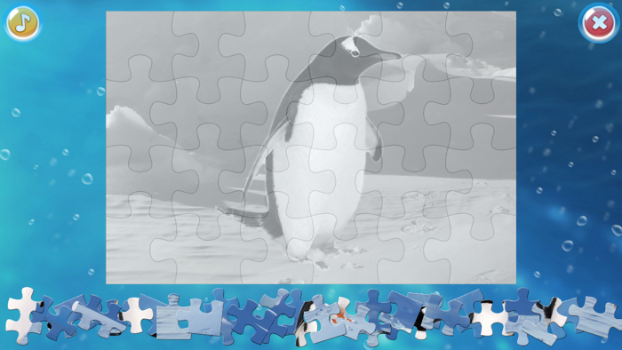 Arctic Animals Puzzle