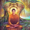 Śākyamuni Biography and Quotes: Life with Documentary