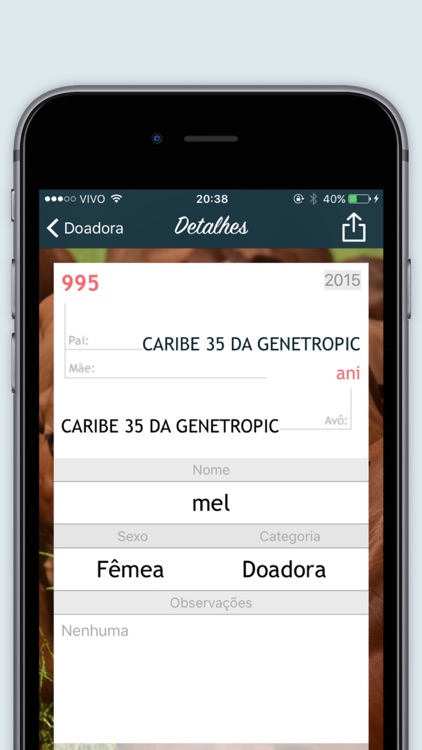 Gestor+ screenshot-3