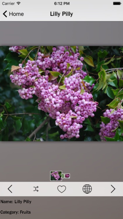 Fruits Database