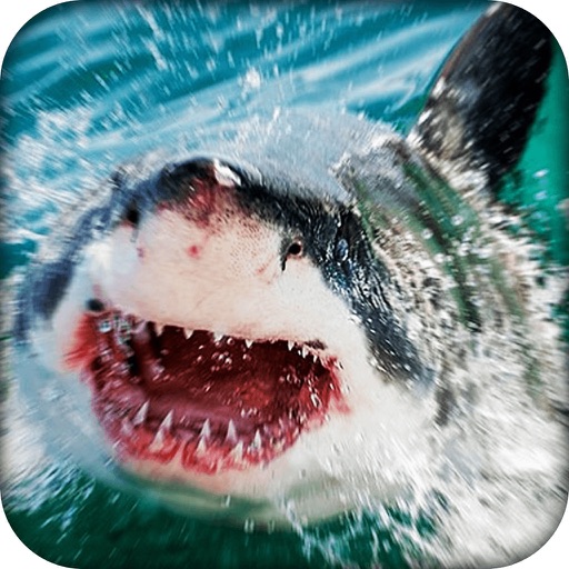 Shark Revenge 3D Simulator ~ Sharks Attack underwater 2016 icon