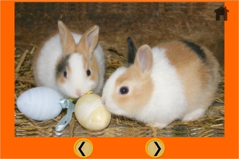 friendly rabbits for kids - no ads screenshot 2