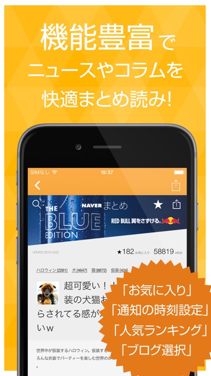 News and blogs for dogs