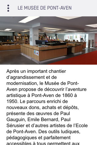 Musée de Pont Aven screenshot 3