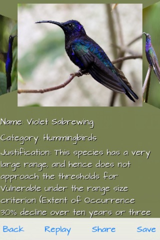 Hummingbirds Jigsaw Puzzles screenshot 3