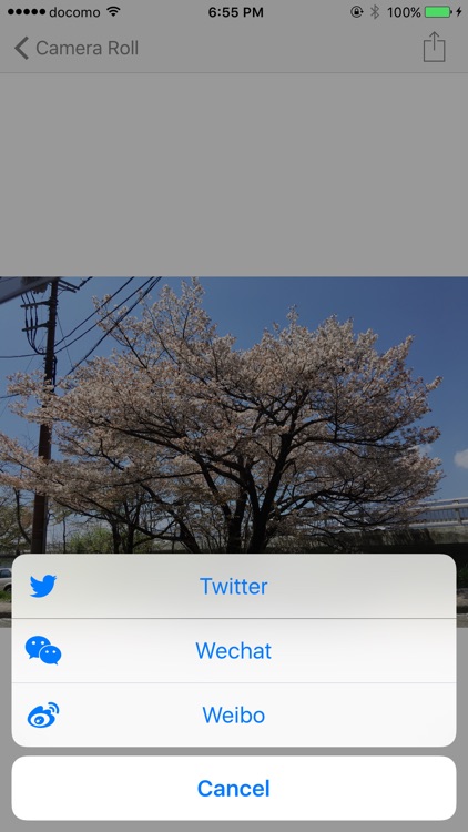 MotionPhoto - LivePhotos video and image export,GIF convert screenshot-4