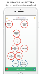 Flow - A Decision Making Tool screenshot