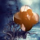 3D Fantasy Photo Frame - Amazing Picture Frames & Photo Editor app icon - Photo & Video app for iPhone