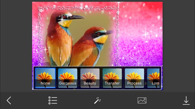 Glitter Photo Frame - Make Awesome Photo using beautiful Pho(圖4)-速報App