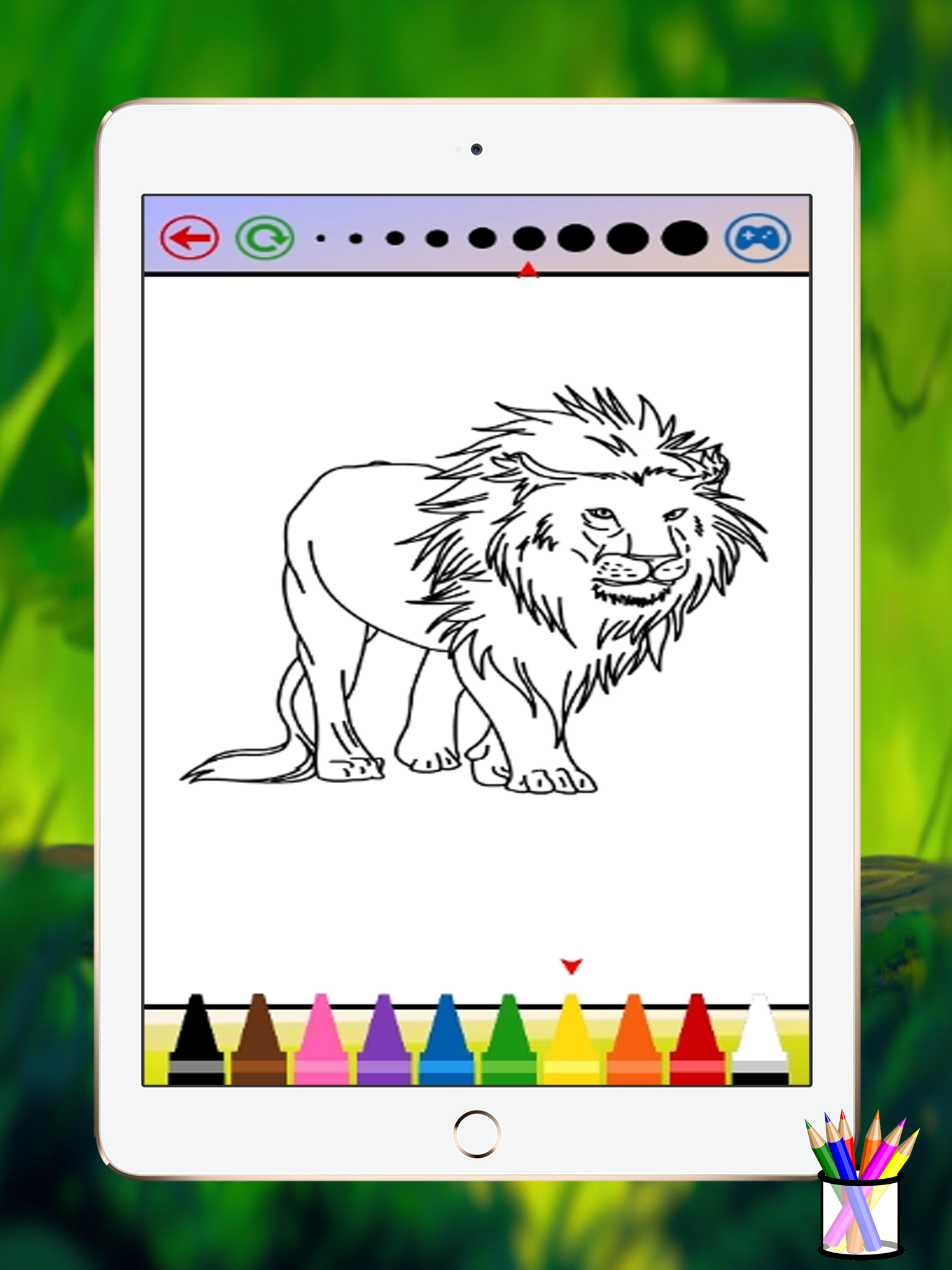 lion coloring book