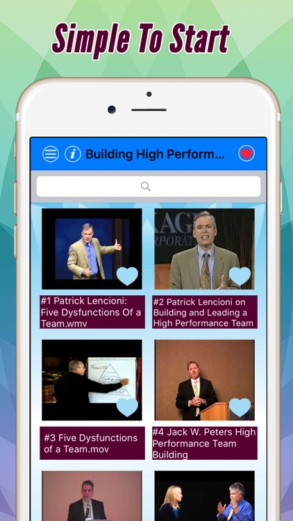 Video Training For Leading And Working In Team (PRO)