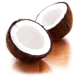 Coconut Horse app icon