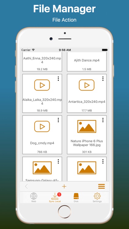 Web Browser and local Sync Manager Pro screenshot-3