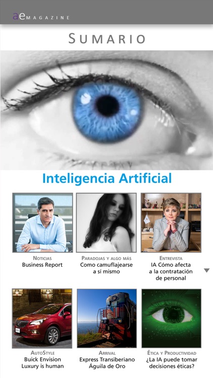 Alto Ejecutivo Mag
