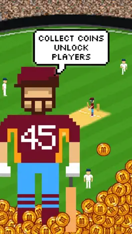 Game screenshot Flicky Cricket hack