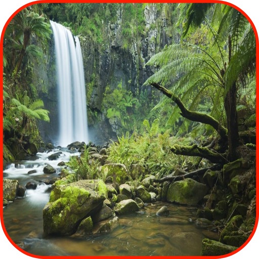 Rainforest Wallpaper & Rainforest Sounds & Rainforest Info