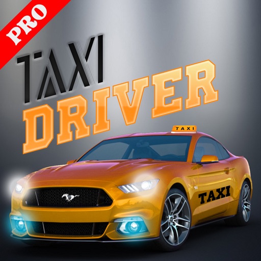 Mountain Taxi Drive Simulator Pro icon