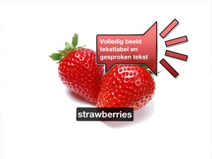 Schermafbeelding