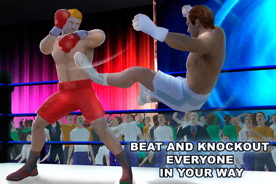Real Punch Box Fighting 3D screenshot 2