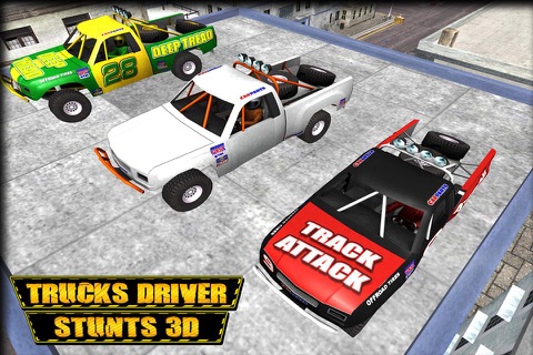 City Trucks Driver Stunts 3D - 4x4 Monster Truck Driving Test Simulator Game screenshot 2