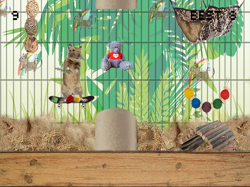 Degu Dash