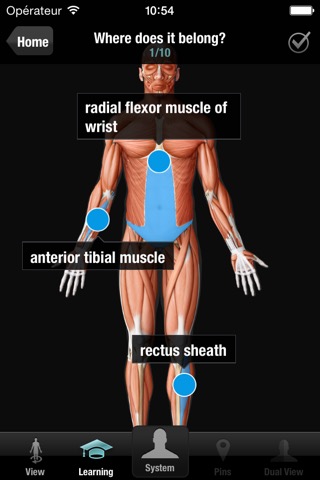 Virtual Human Bodyのおすすめ画像1