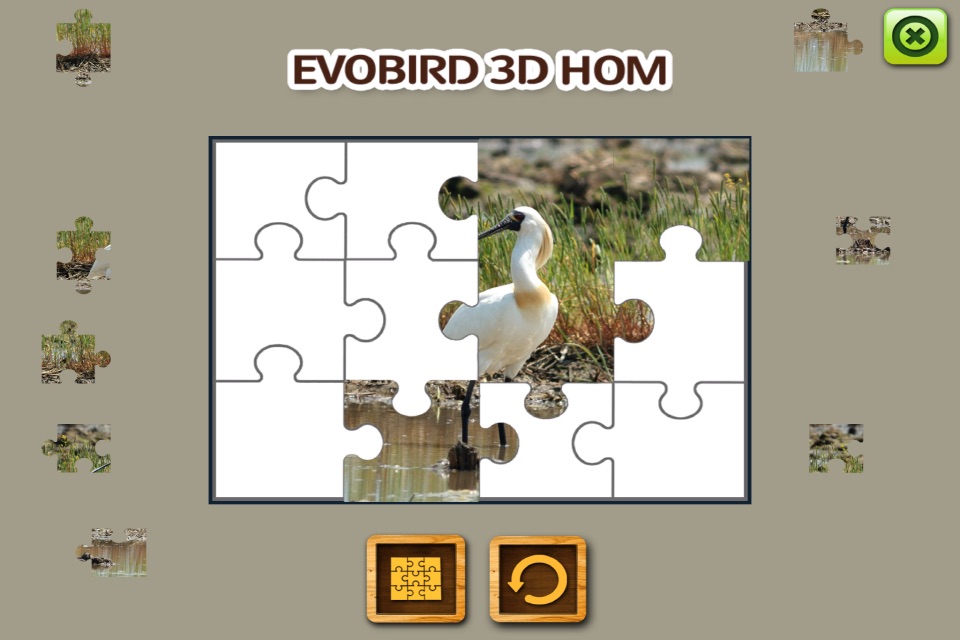 EVOBIRD 3D HOM - B plus AR Book screenshot 4