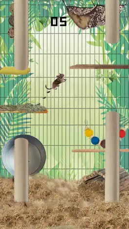 Game screenshot Donny Degu hack