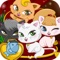 Cat Day Care Hotel - Pets Home、Sugary Care