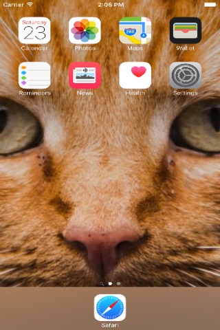 Cat Wallpapers: Best Cute Cat & Kitten Wallpapers screenshot 3