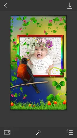 Game screenshot Bird Photo Frames - Make awesome photo using beautiful photo frames apk