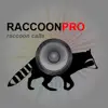 Raccoon Hunting Calls - With Bluetooth - Ad Free problems & troubleshooting and solutions