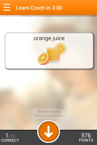 Learn Czech in 3 Minutes screenshot 3