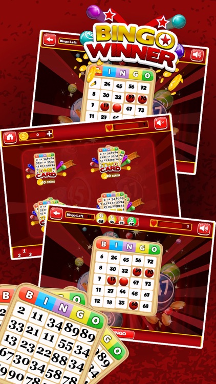 Mega Win Premium - Bingo Plus Casino Game screenshot-3