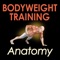 Increase strength, build mass, burn fat, and define your muscles