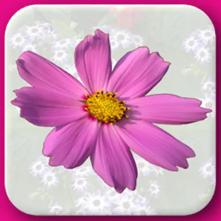 Flowers Flash Cards - Fruits And Vegetables Name Learning Game for your Kids Читы