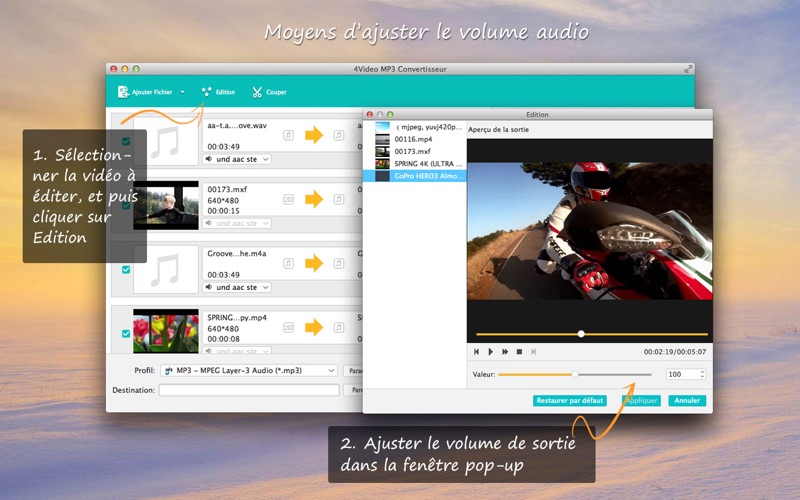 Screenshot #2 pour 4Video MP3 Converter (en MP3)