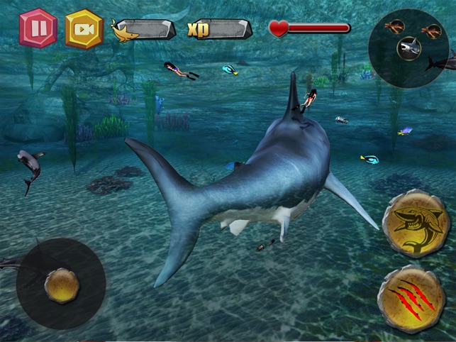 Shark Attack.io - 🕹️ Online Game