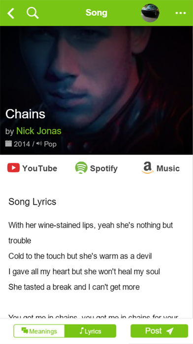 Screenshot #3 pour Lyreka - Song Lyrics and Meanings
