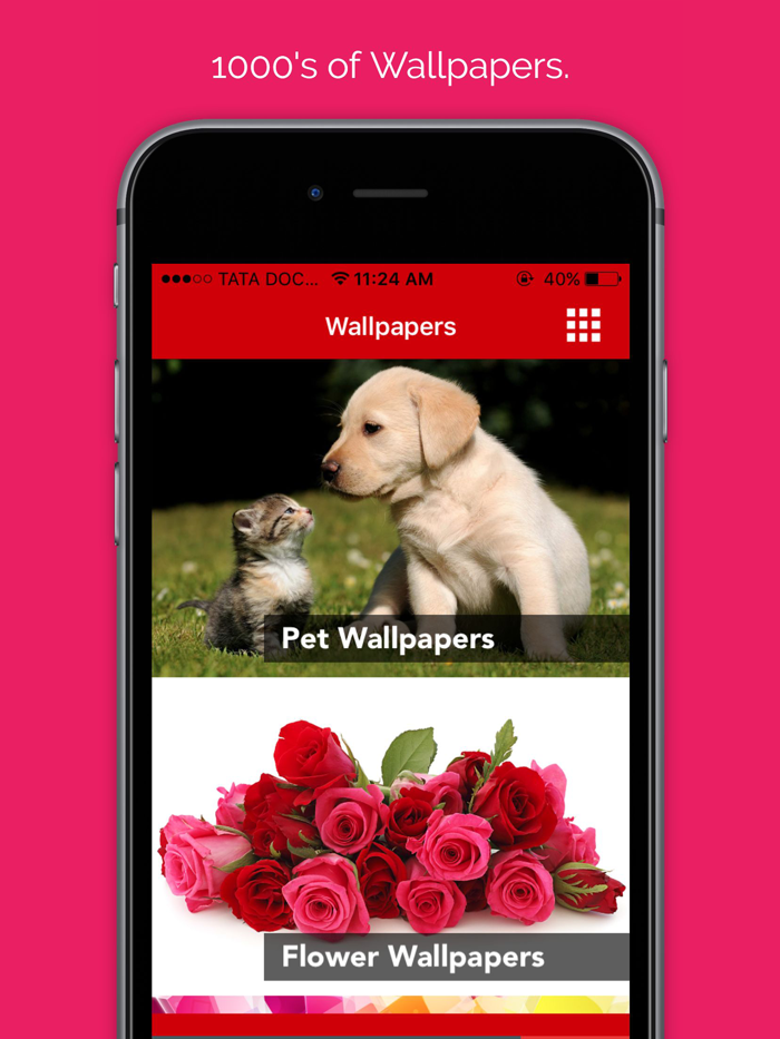 Pet wallpaper pictures  Background of flowers cats and dogs for your mobile lock screen