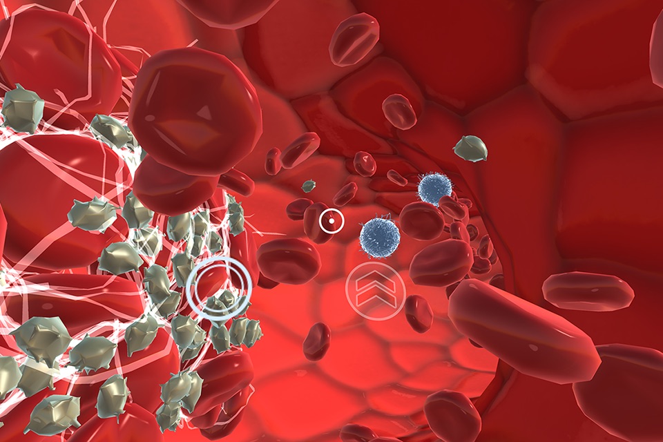 INVIVO Bloodstream Explorer VR screenshot 3